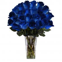24 Blue Roses vase