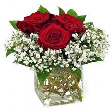 3 Red Roses in glass vase