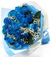18 blue roses bouquet