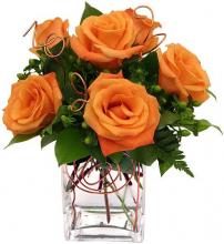 6 orange roses vase